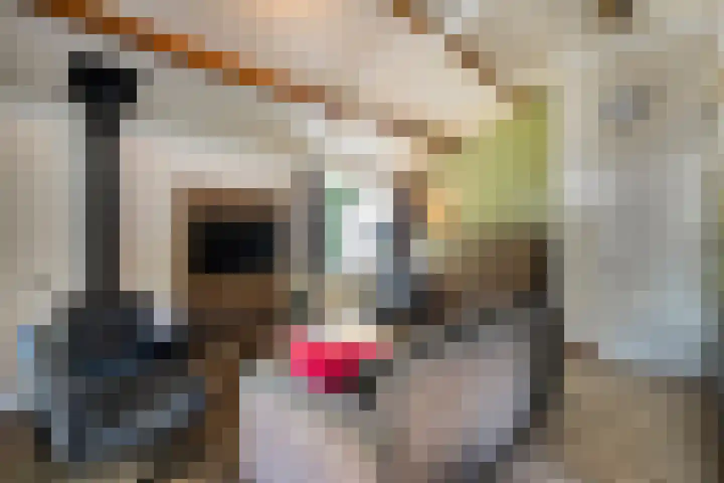 Oshaarseweg 24 33 Echten thumbnail 23