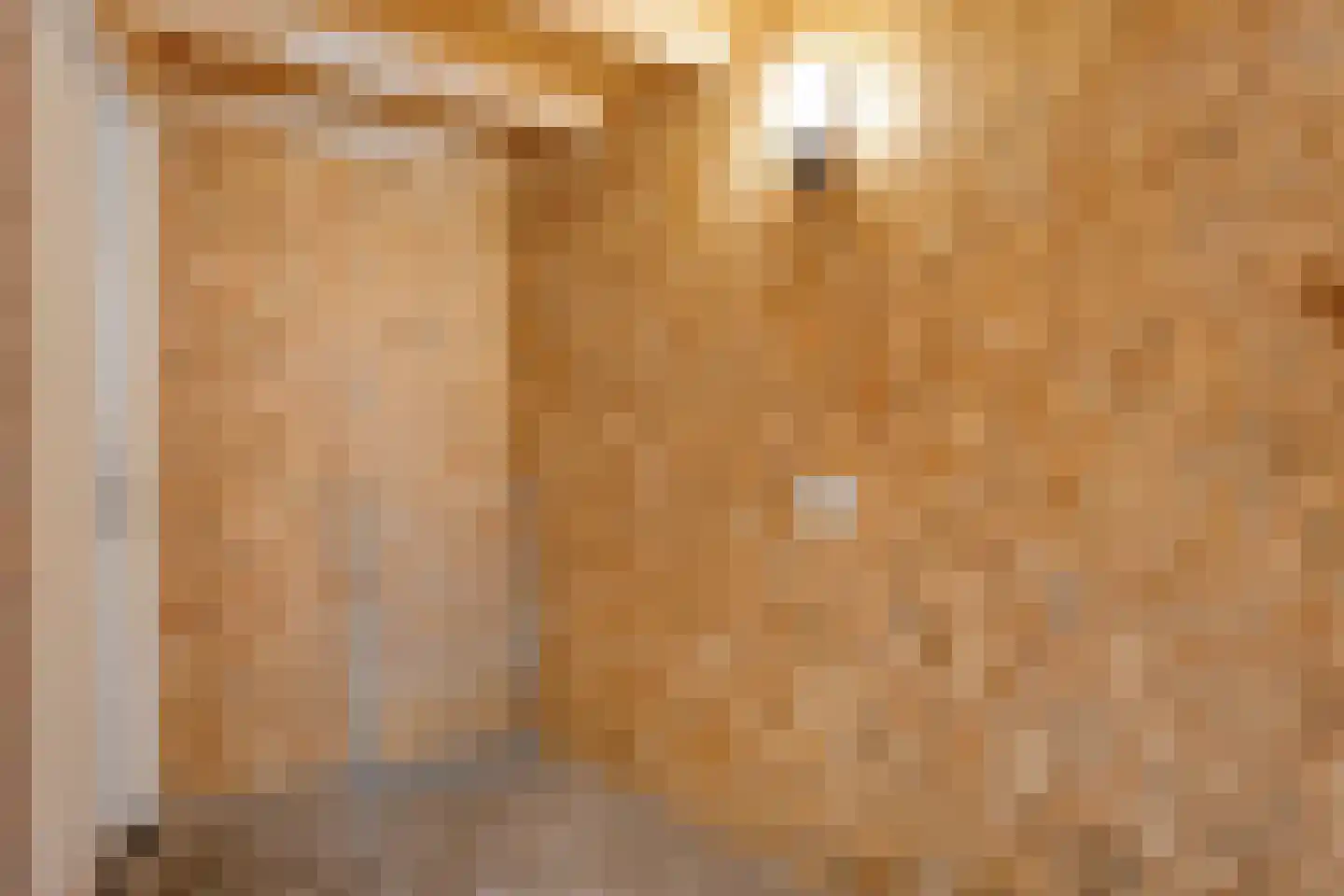 Oshaarseweg 24 33 Echten thumbnail 34