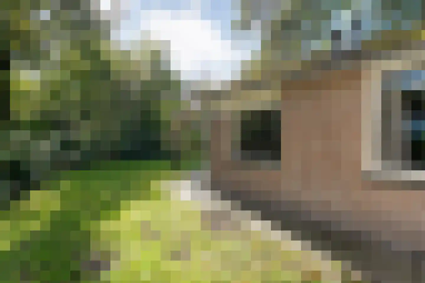 Oshaarseweg 24 33 Echten thumbnail 36