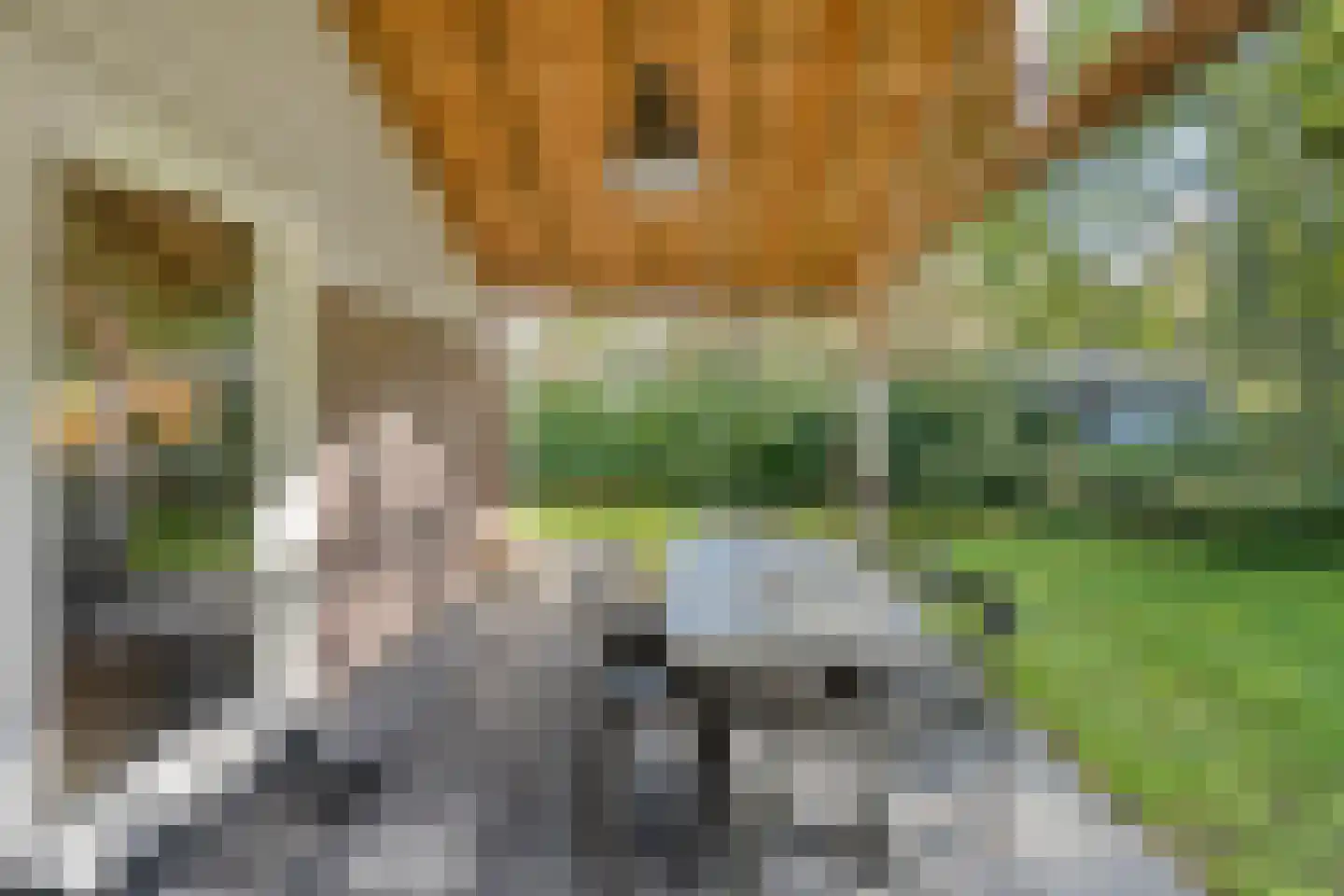 Oshaarseweg 24 33 Echten thumbnail 37