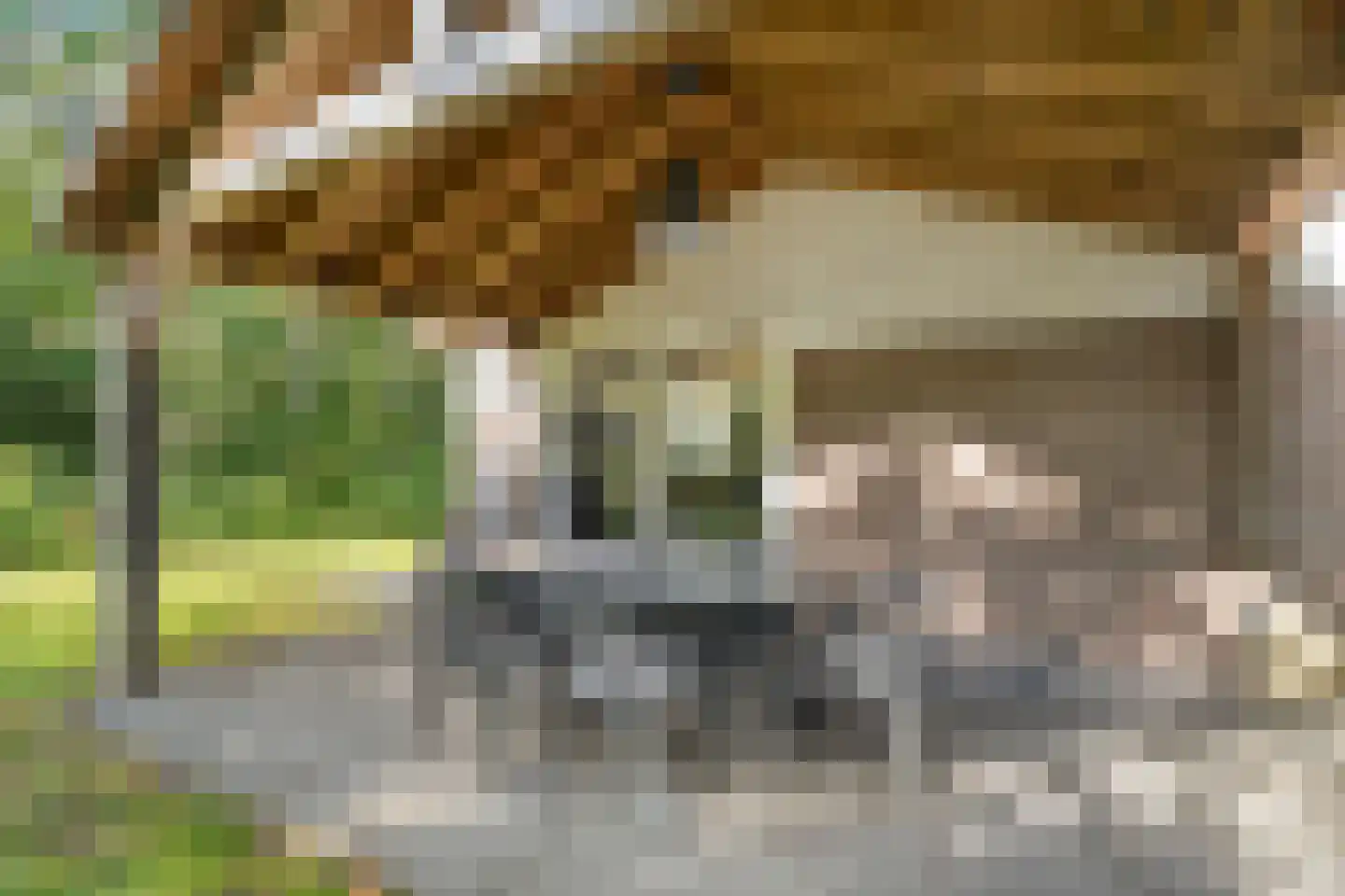 Oshaarseweg 24 33 Echten thumbnail 38
