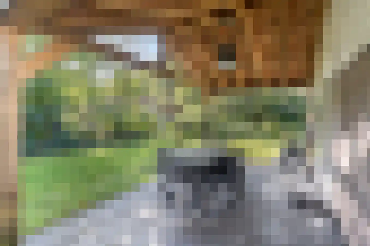 Oshaarseweg 24 33 Echten thumbnail 39