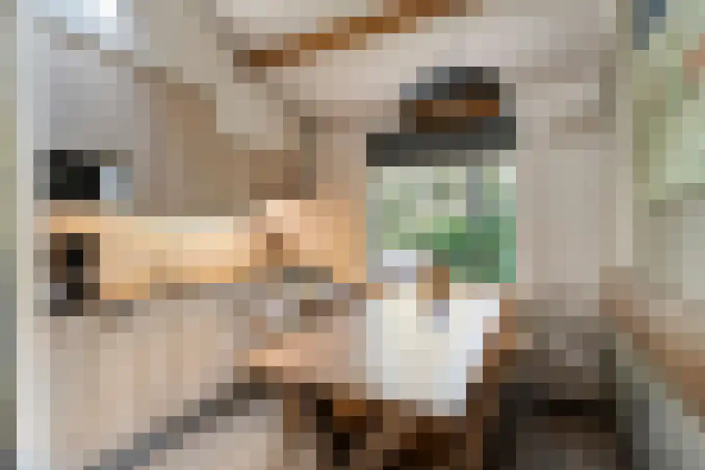 Oshaarseweg 24 33 Echten thumbnail 4