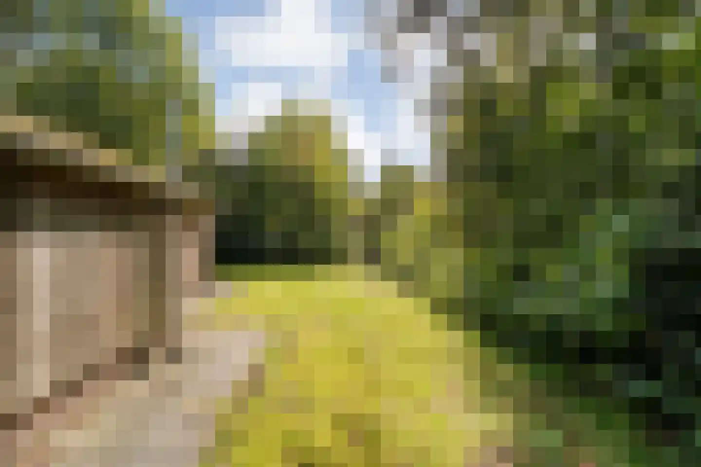Oshaarseweg 24 33 Echten thumbnail 43