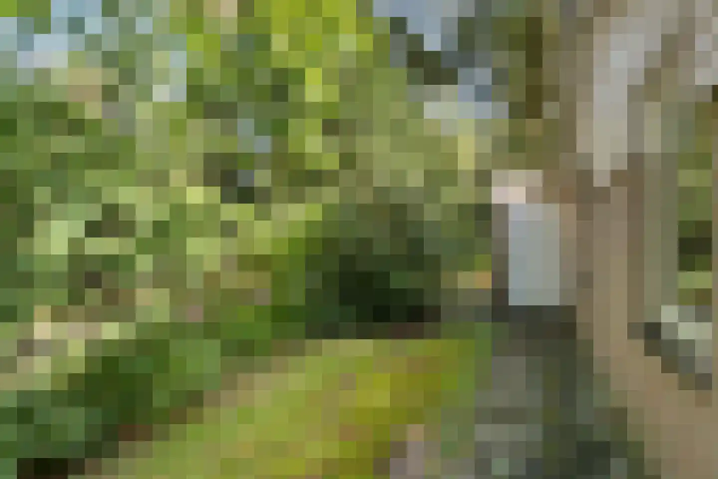 Oshaarseweg 24 33 Echten thumbnail 44