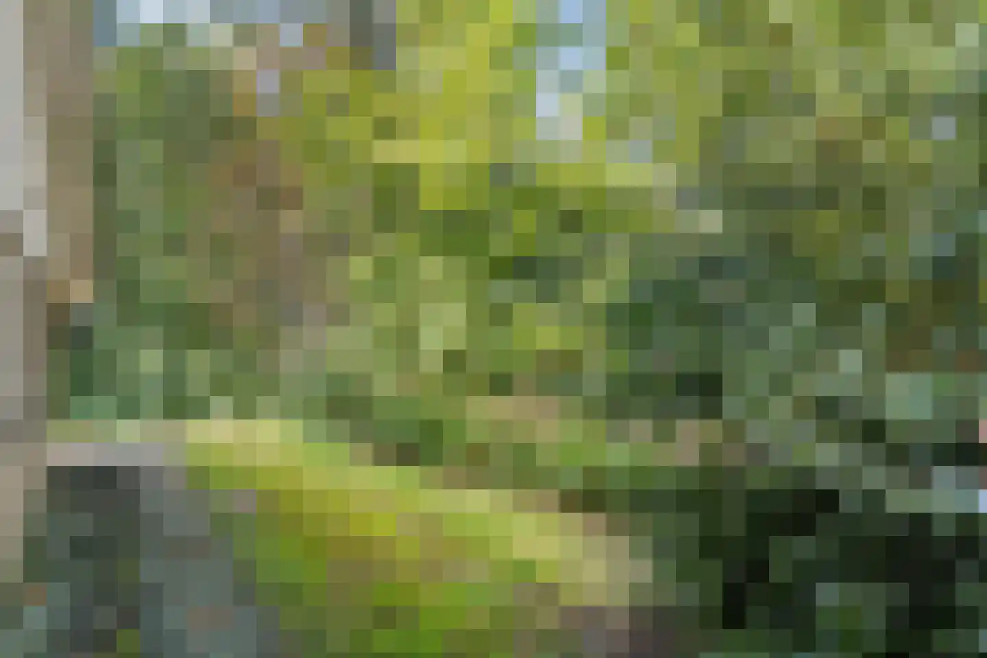 Oshaarseweg 24 33 Echten thumbnail 45