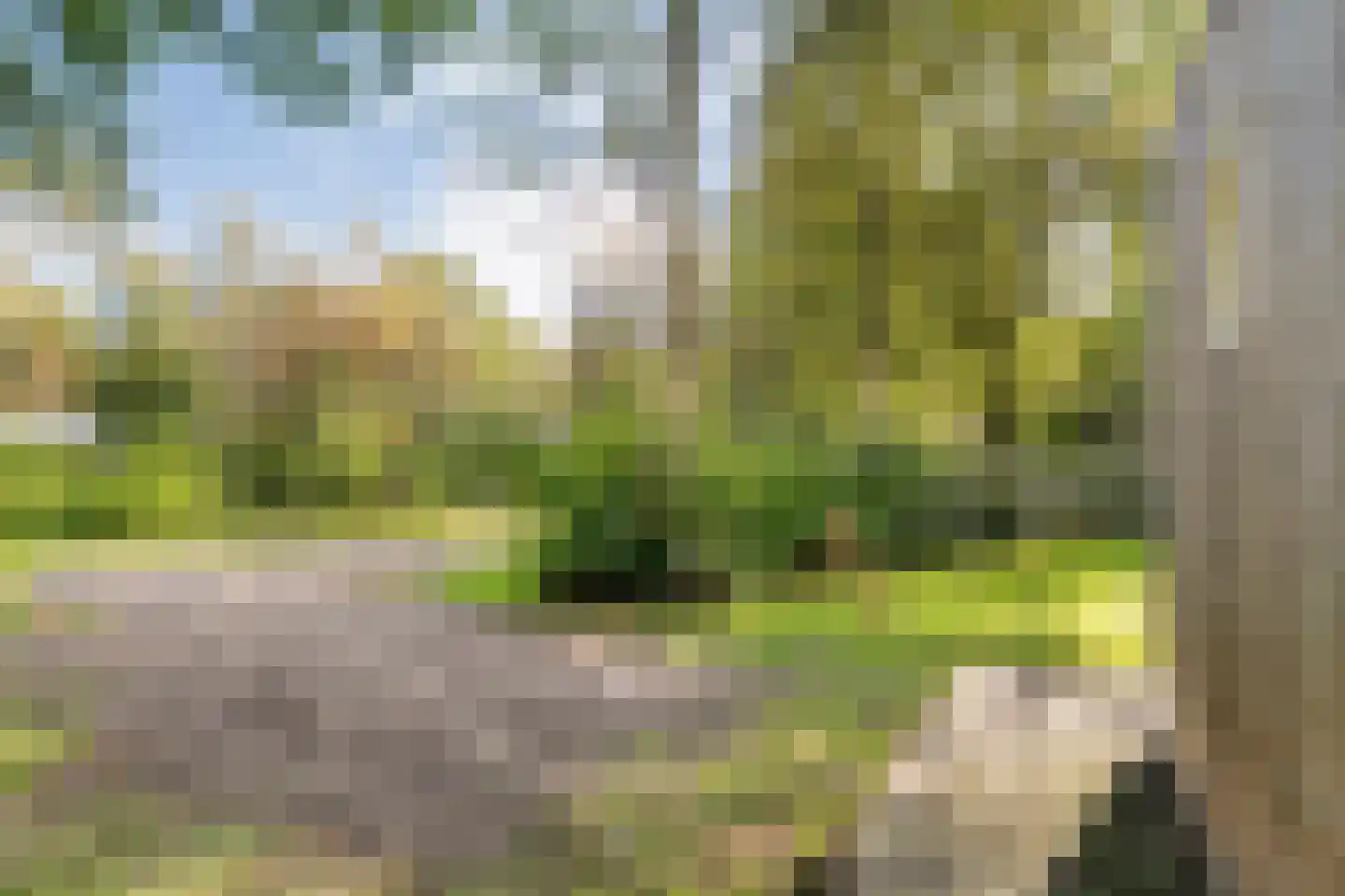 Oshaarseweg 24 33 Echten thumbnail 46