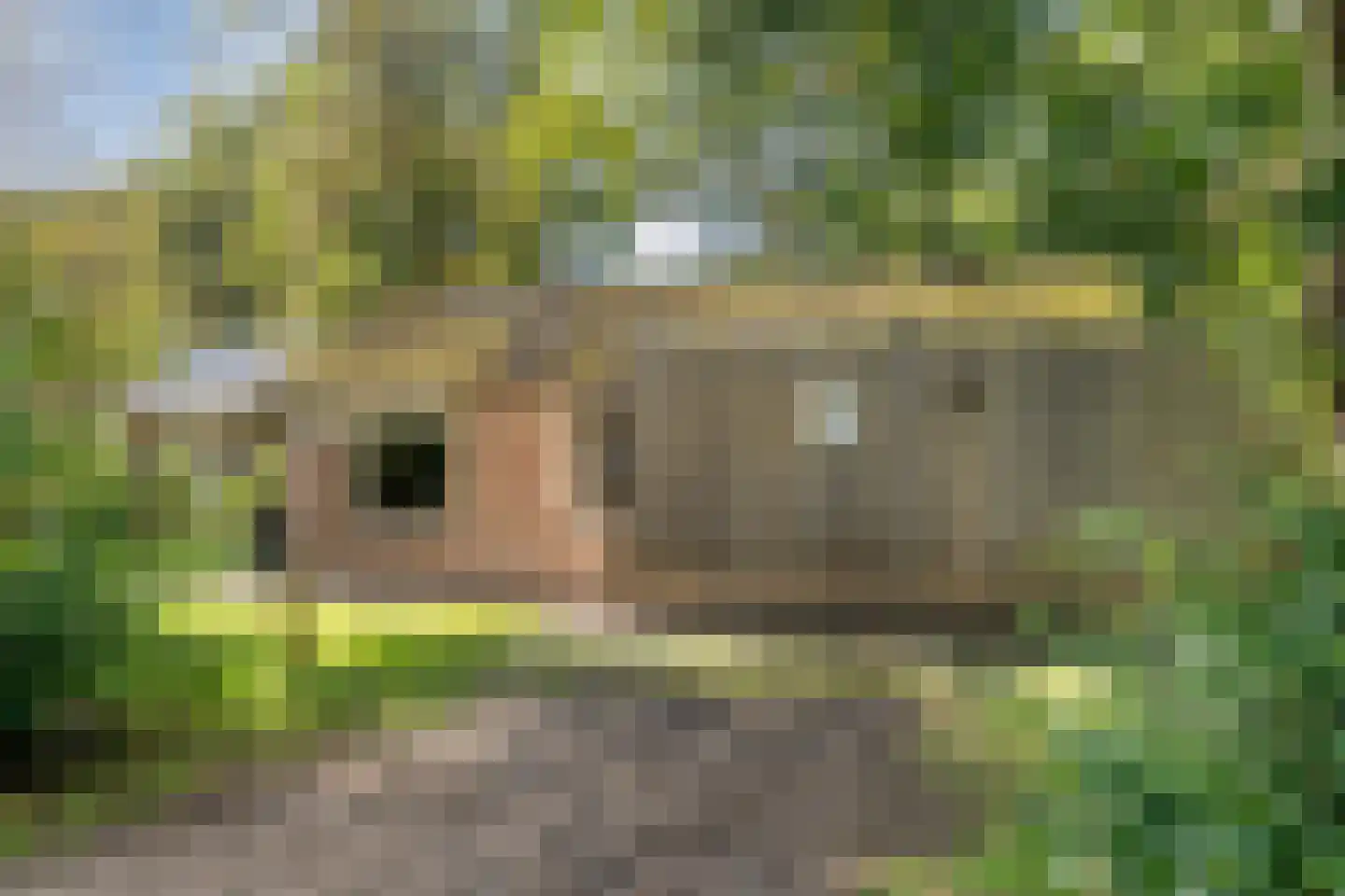 Oshaarseweg 24 33 Echten thumbnail 48