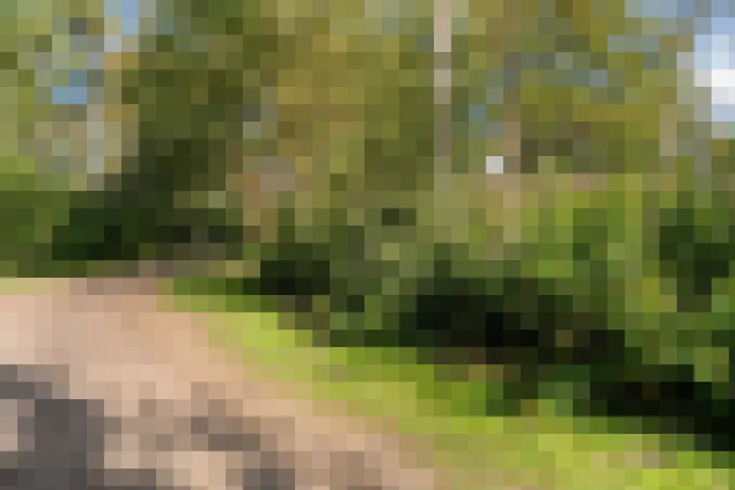 Oshaarseweg 24 33 Echten thumbnail 49