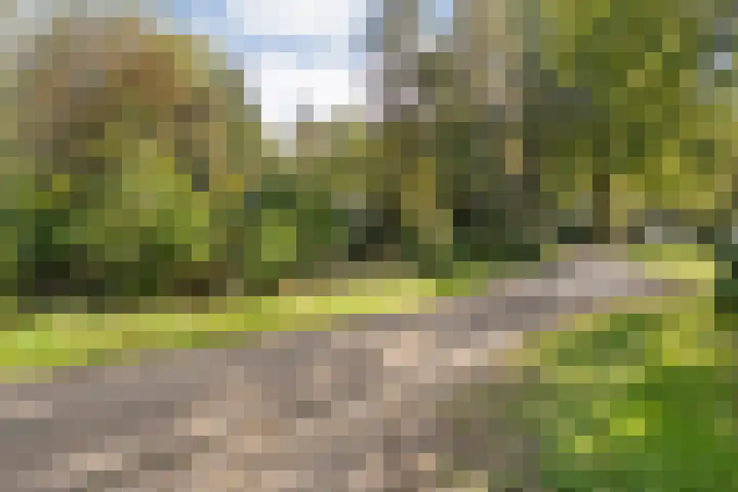 Oshaarseweg 24 33 Echten thumbnail 50