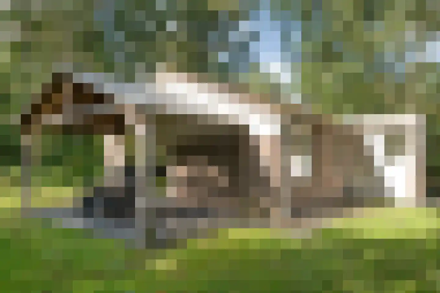 Oshaarseweg 24 33 Echten thumbnail 8