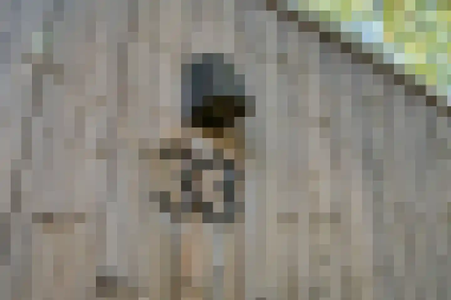 Oshaarseweg 24 33 Echten thumbnail 9