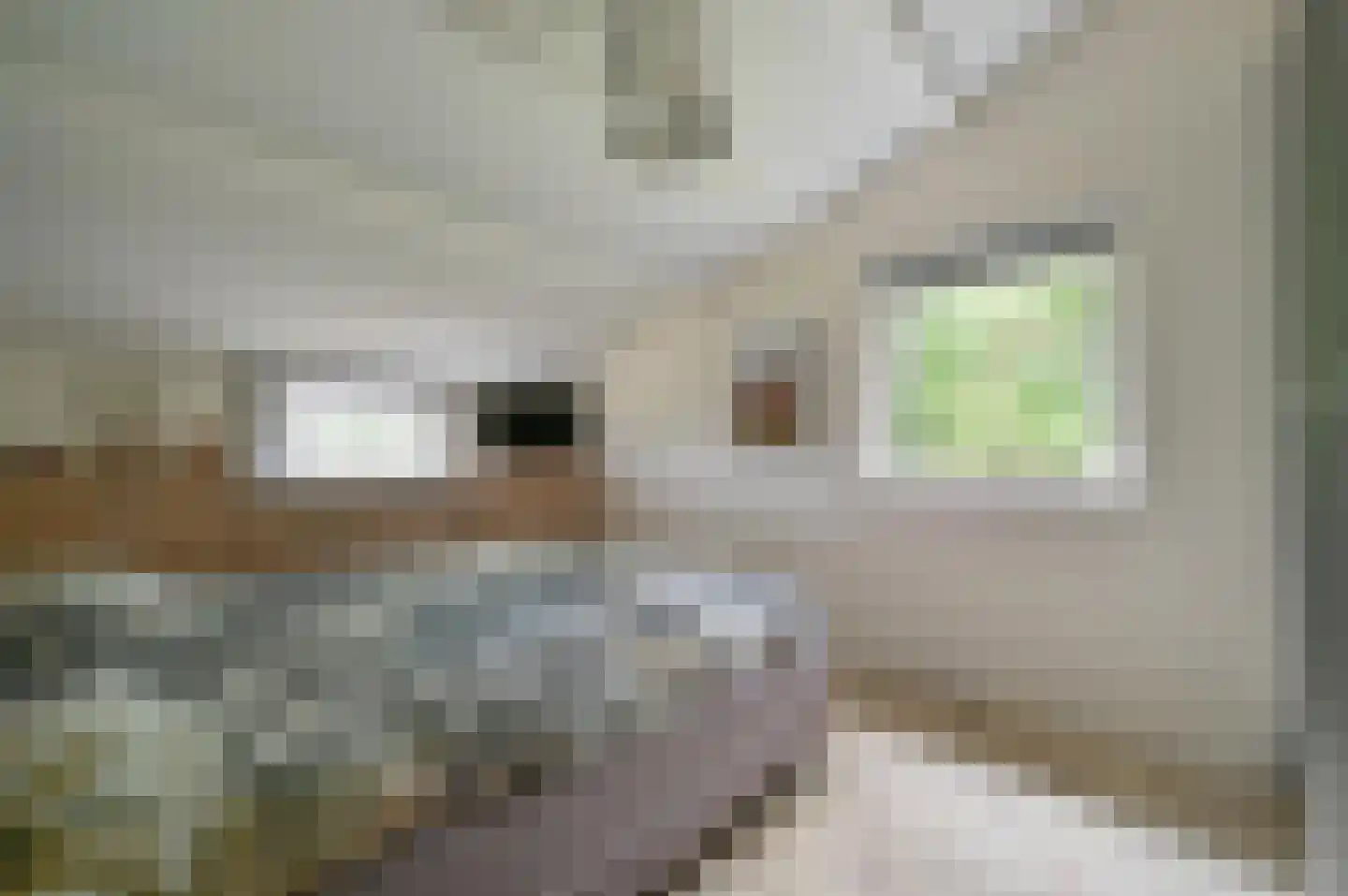 Oshaarseweg 24 65 Echten thumbnail 18