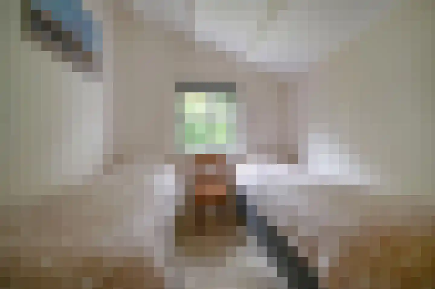 Oshaarseweg 24 65 Echten thumbnail 22
