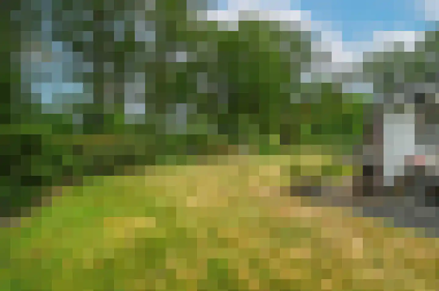 Oshaarseweg 24 65 Echten thumbnail 33