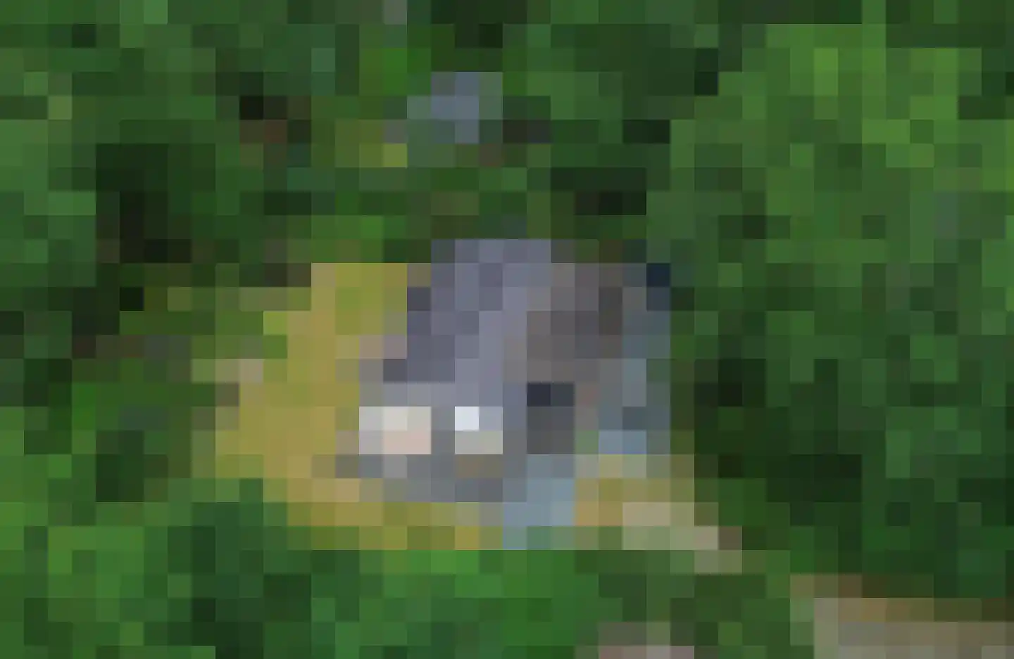 Oshaarseweg 24 65 Echten thumbnail 34