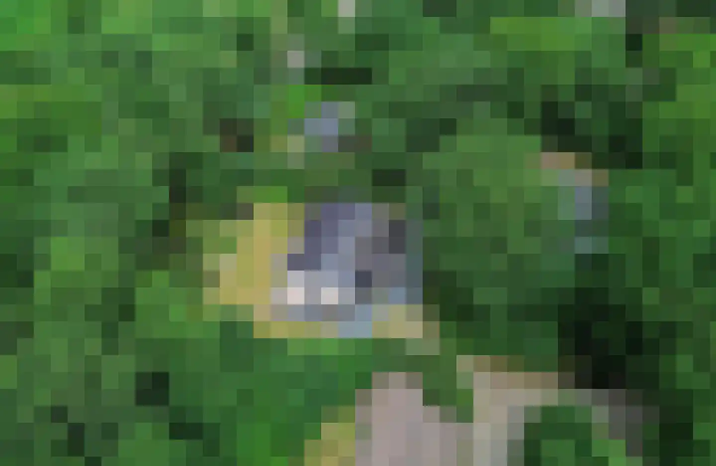 Oshaarseweg 24 65 Echten thumbnail 36