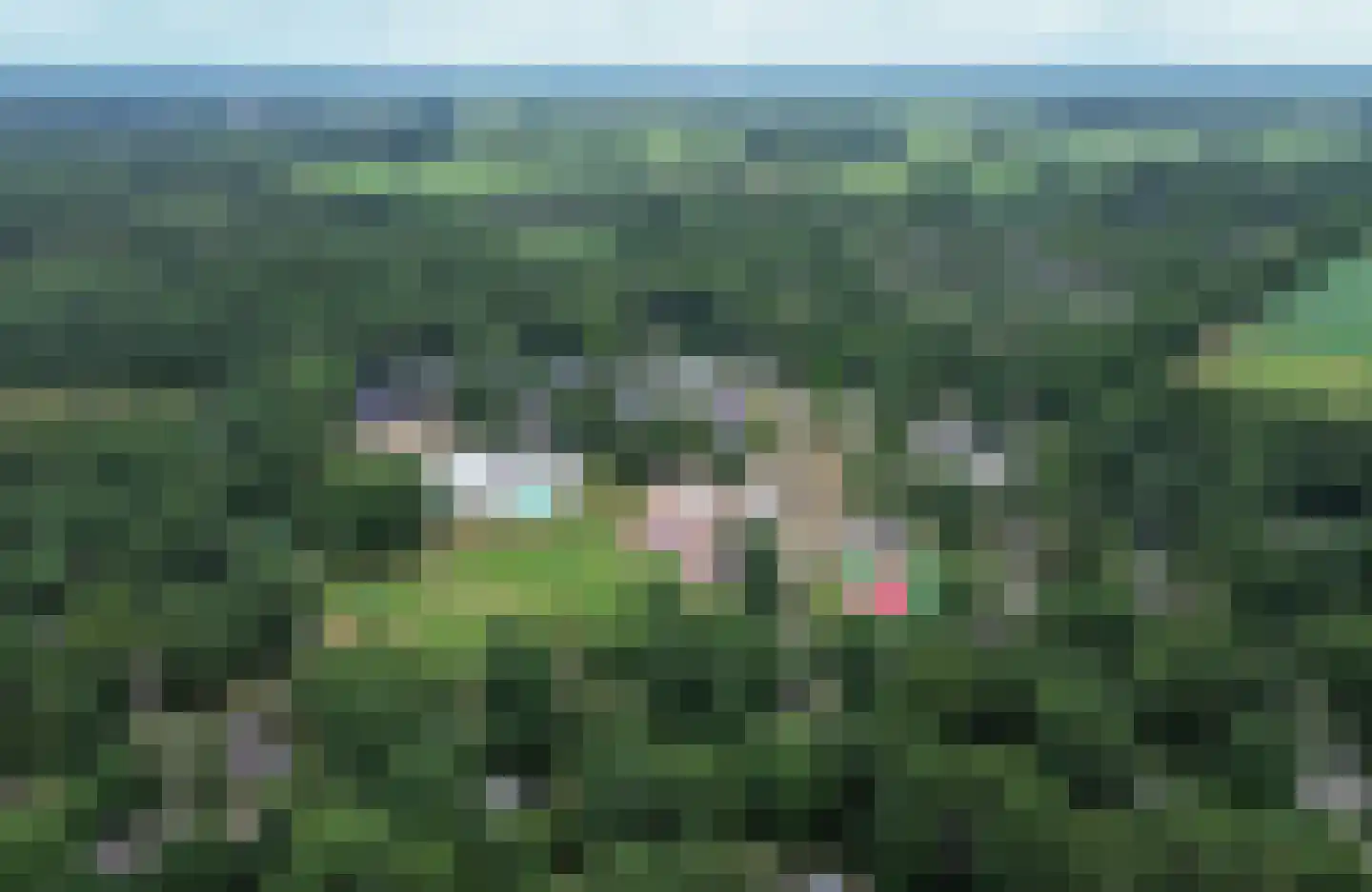 Oshaarseweg 24 65 Echten thumbnail 37