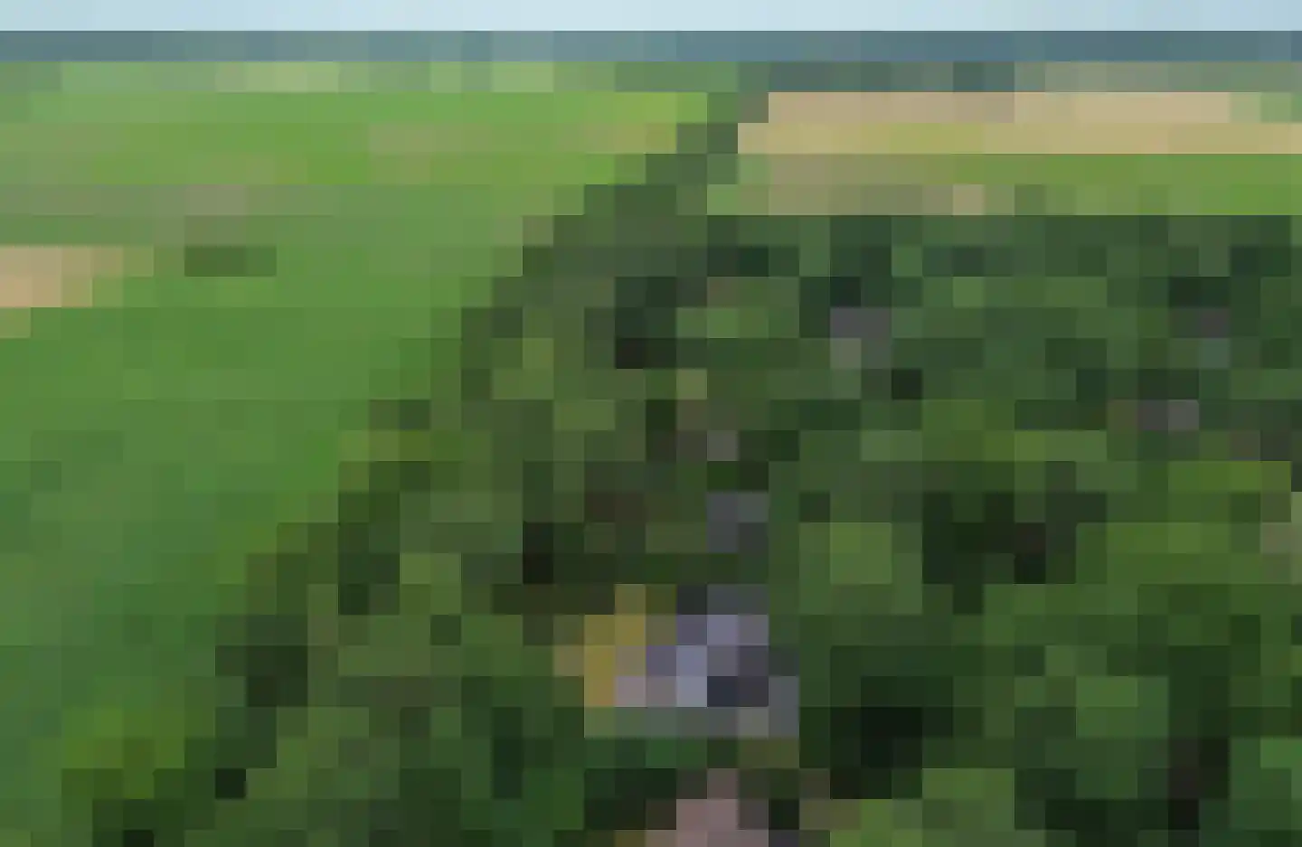 Oshaarseweg 24 65 Echten thumbnail 38