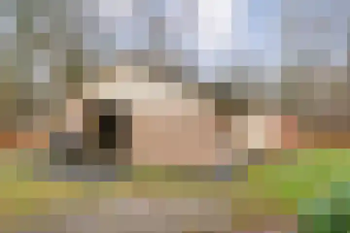 Oshaarseweg 24 68 Echten