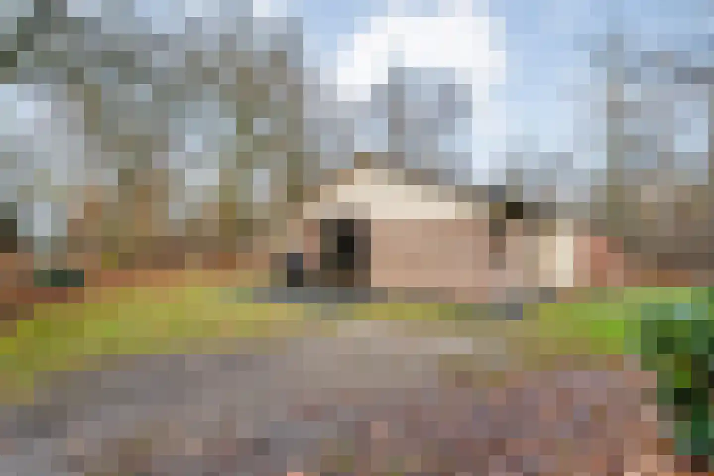 Oshaarseweg 24 68 Echten thumbnail 17