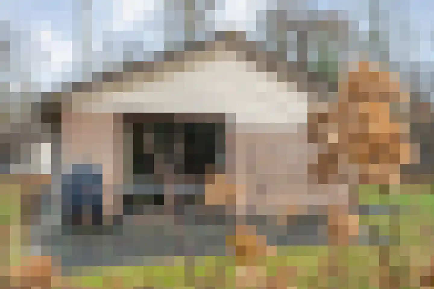 Oshaarseweg 24 68 Echten thumbnail 19