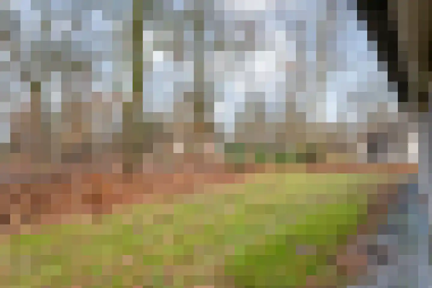 Oshaarseweg 24 68 Echten thumbnail 24