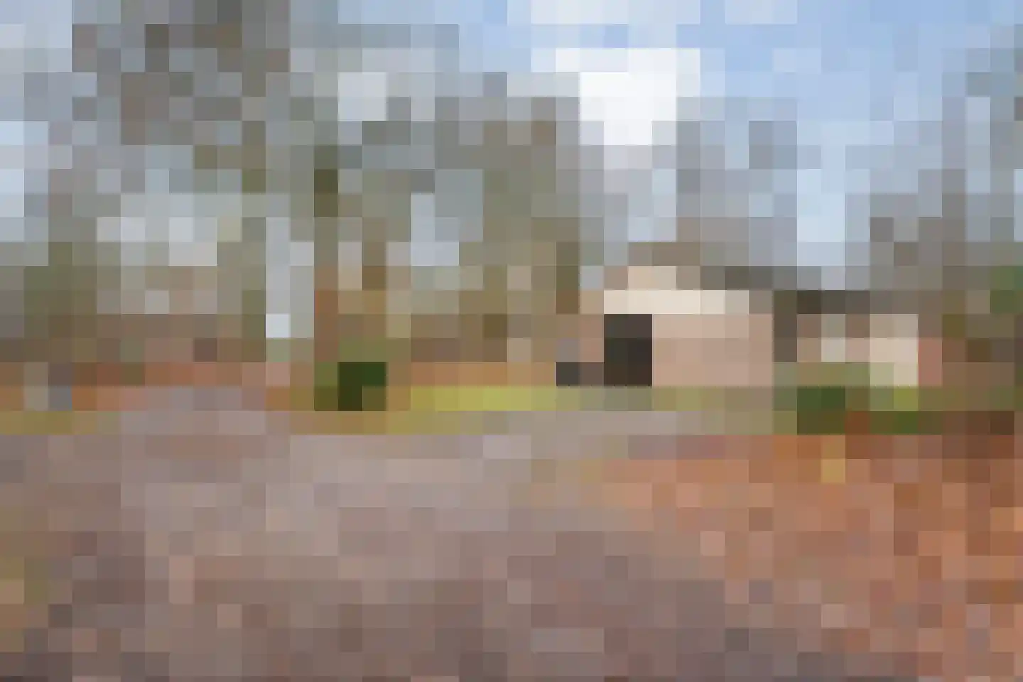 Oshaarseweg 24 68 Echten thumbnail 25