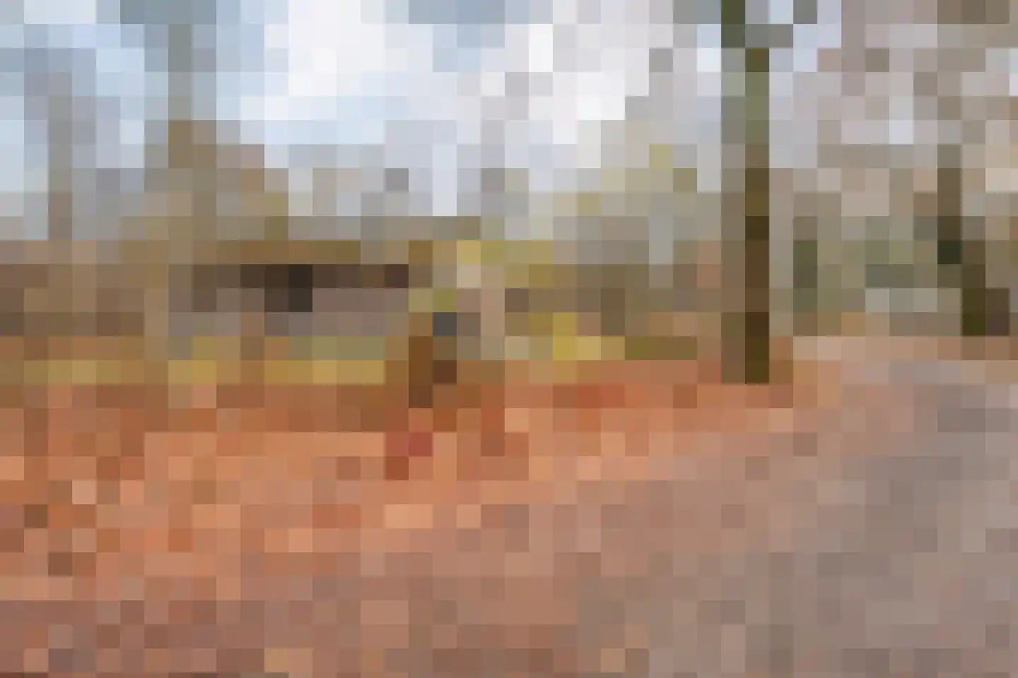 Oshaarseweg 24 68 Echten thumbnail 26