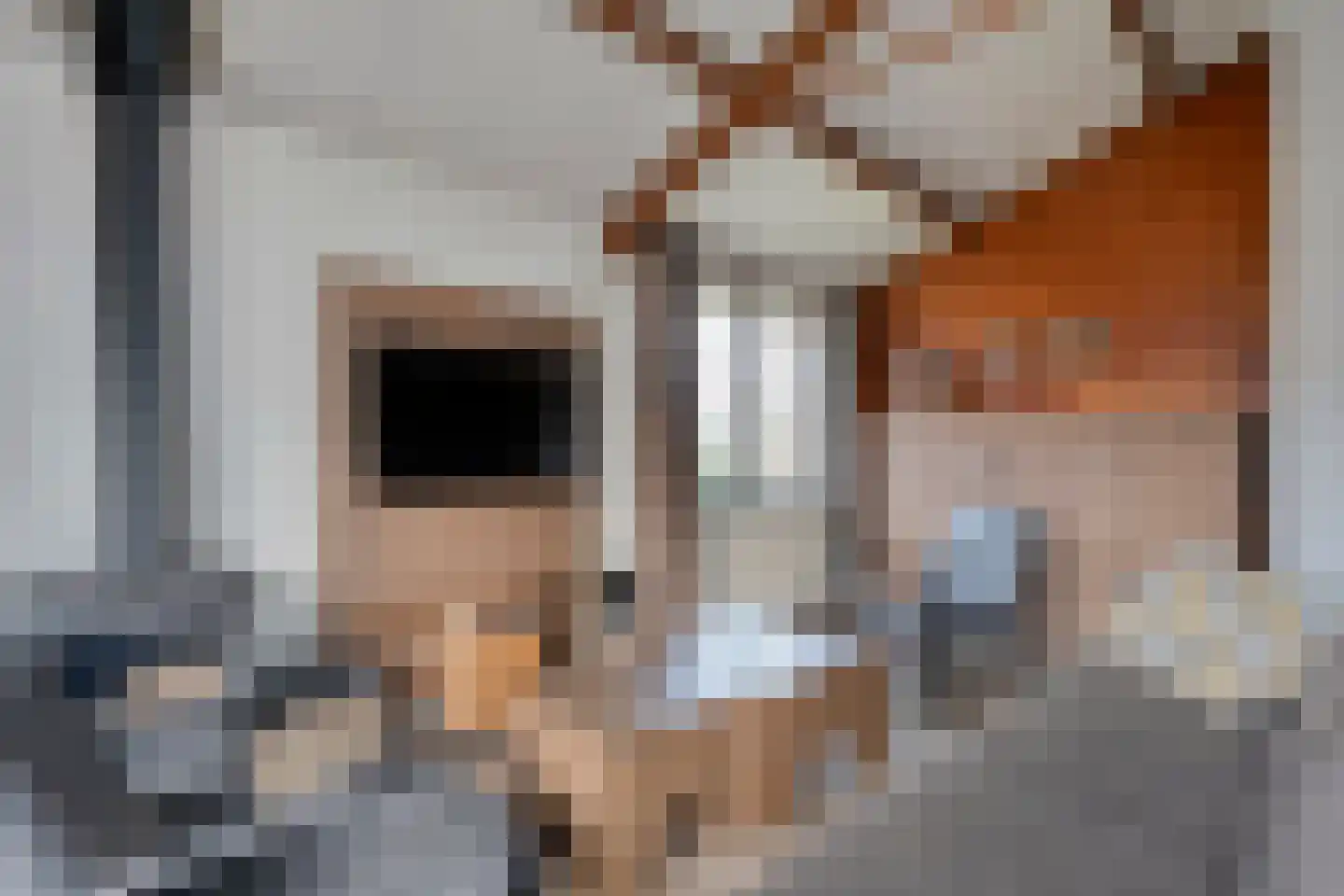 Oshaarseweg 24 68 Echten thumbnail 6
