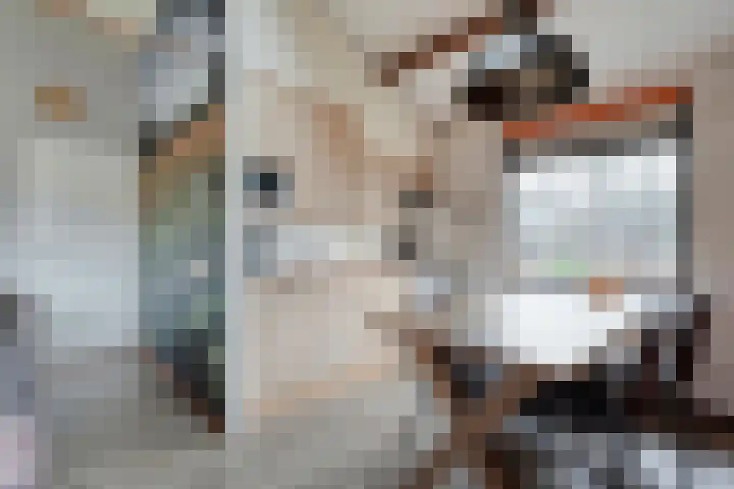 Oshaarseweg 24 68 Echten thumbnail 7