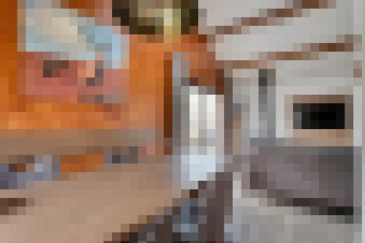 Oshaarseweg 24 68 Echten thumbnail 8