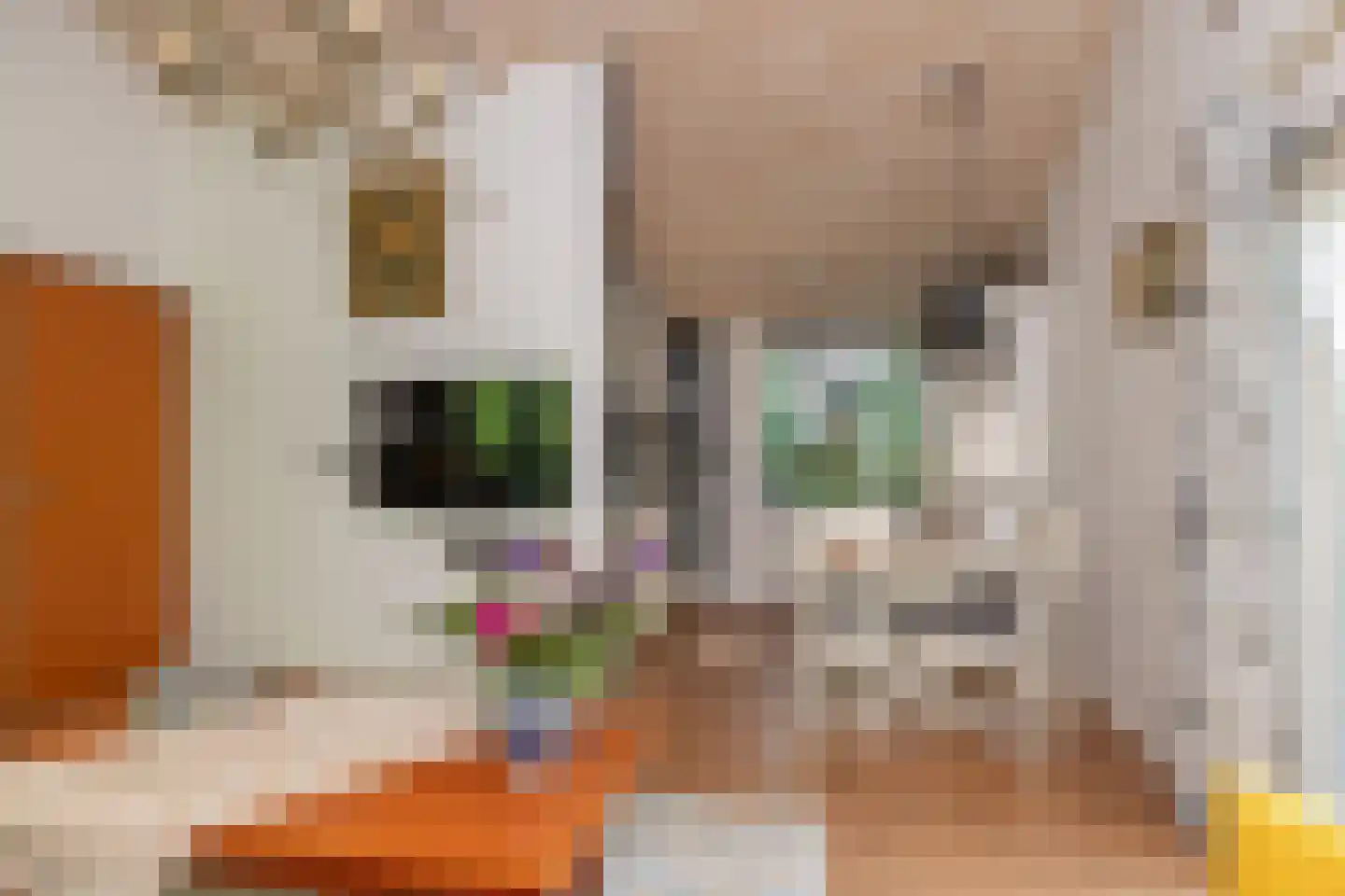 Oshaarseweg 24 79 Echten thumbnail 12