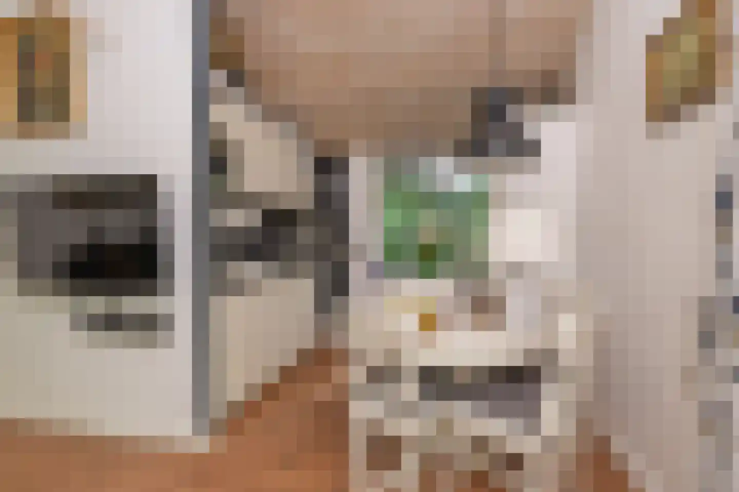 Oshaarseweg 24 79 Echten thumbnail 13