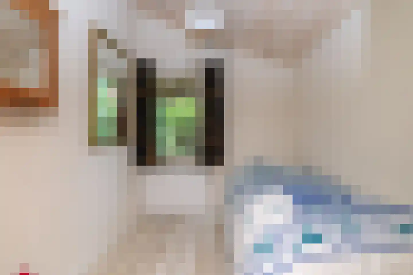 Oshaarseweg 24 79 Echten thumbnail 18