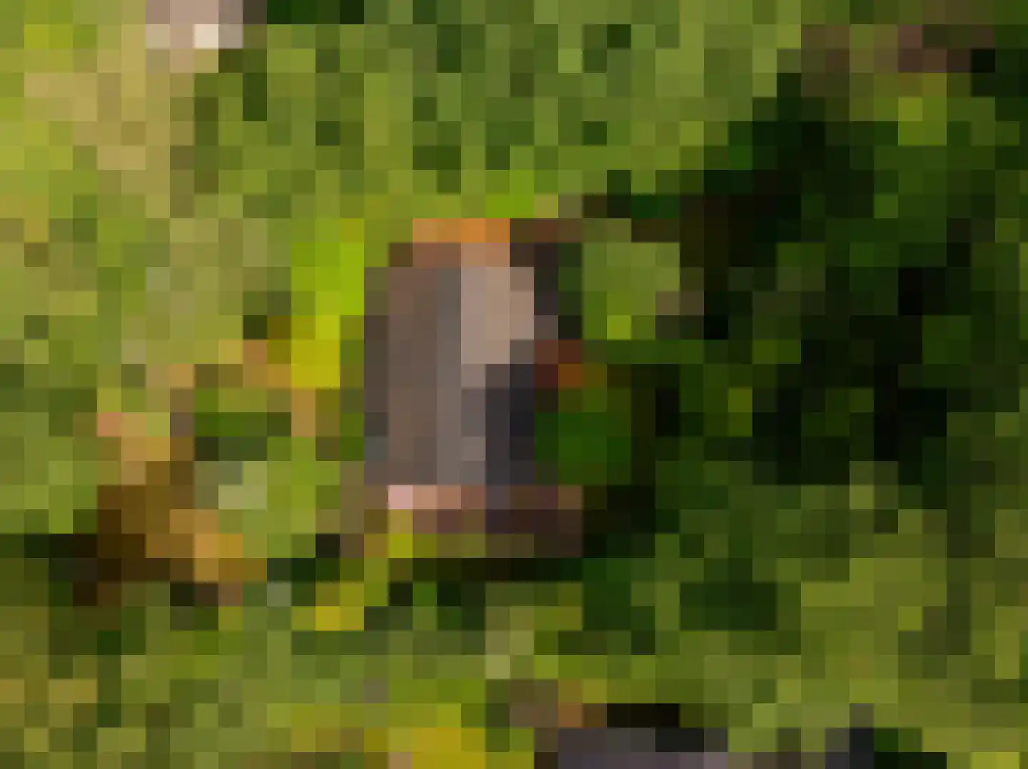 Oshaarseweg 24 79 Echten thumbnail 22