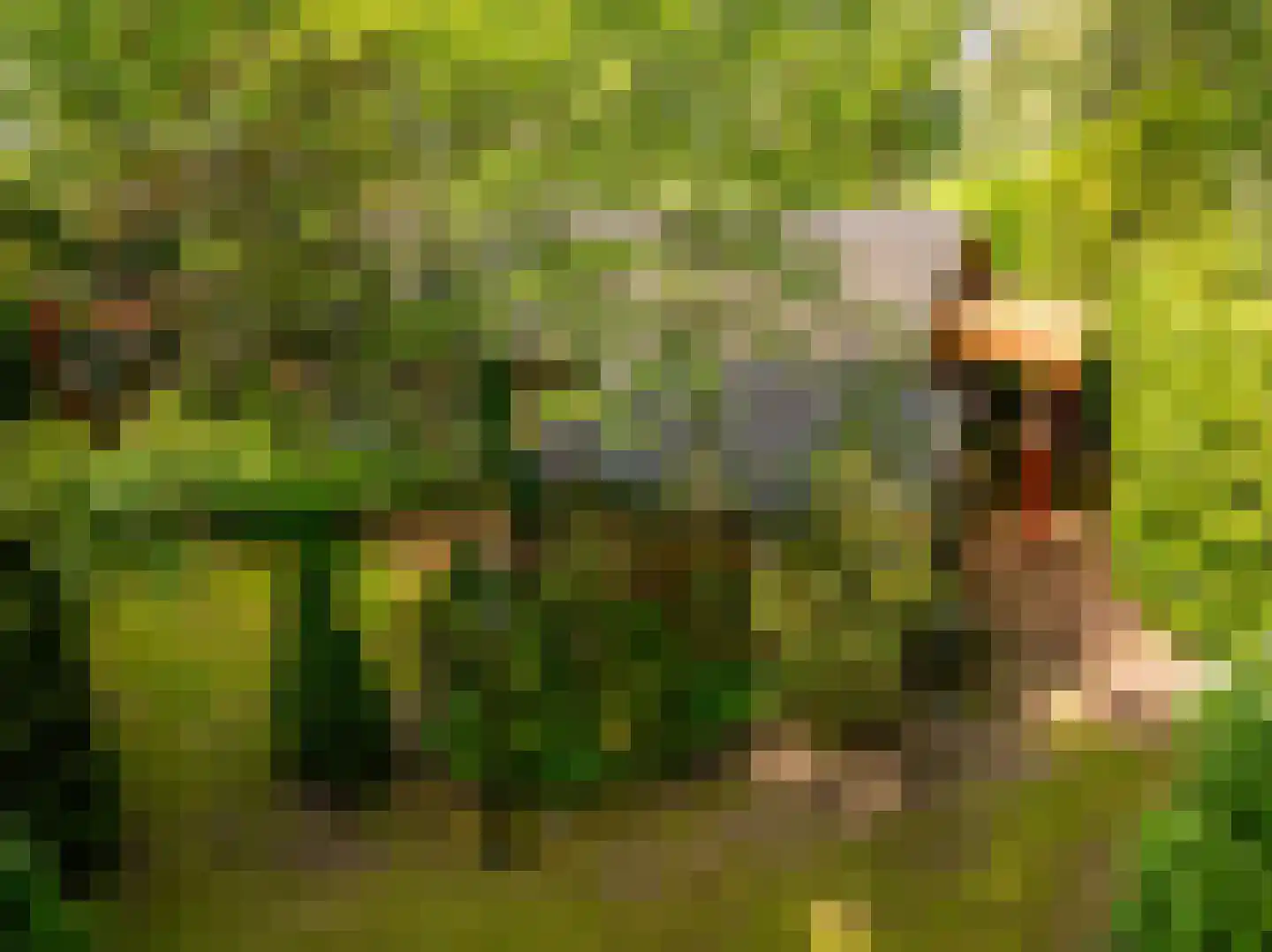 Oshaarseweg 24 79 Echten thumbnail 23