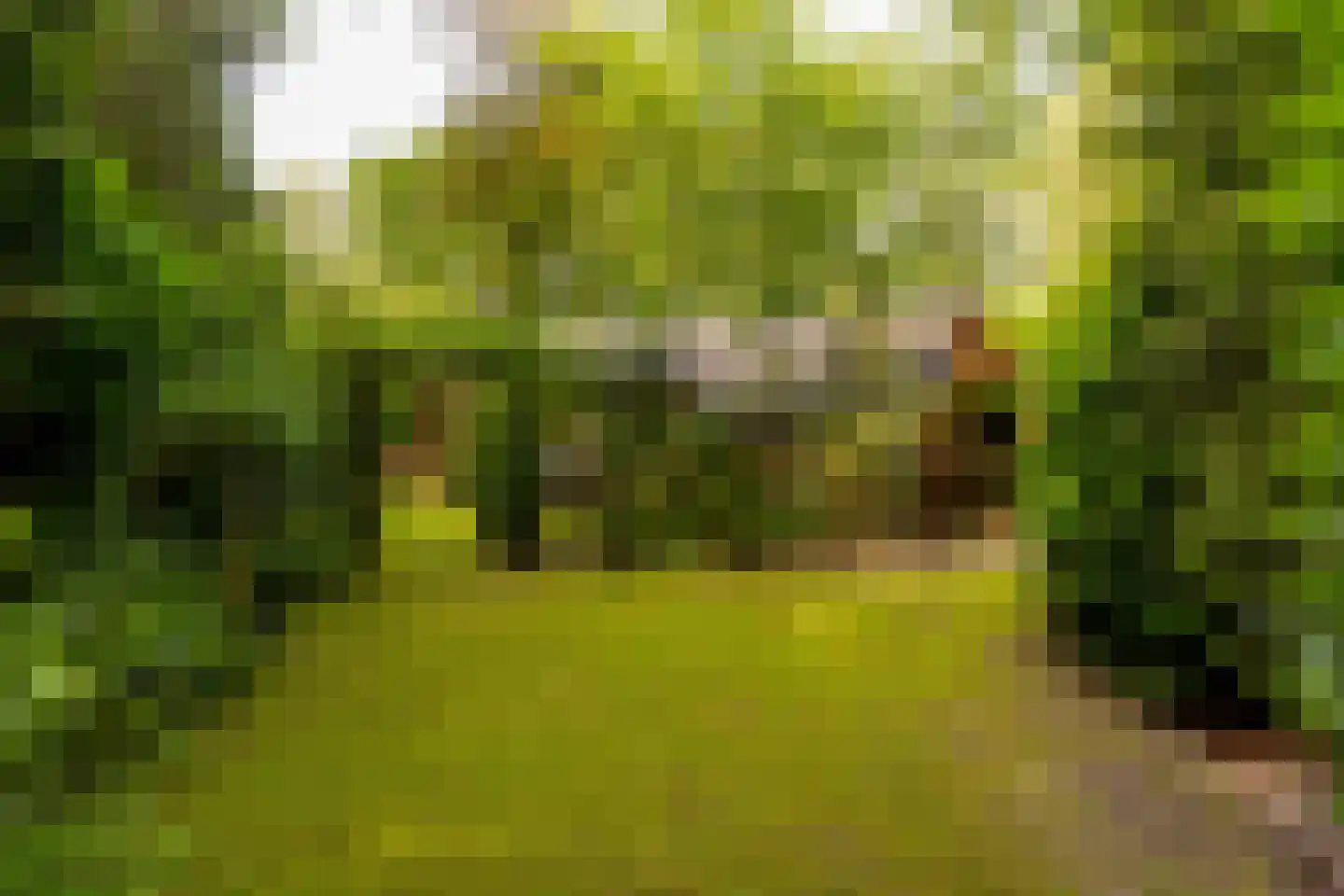 Oshaarseweg 24 79 Echten thumbnail 24