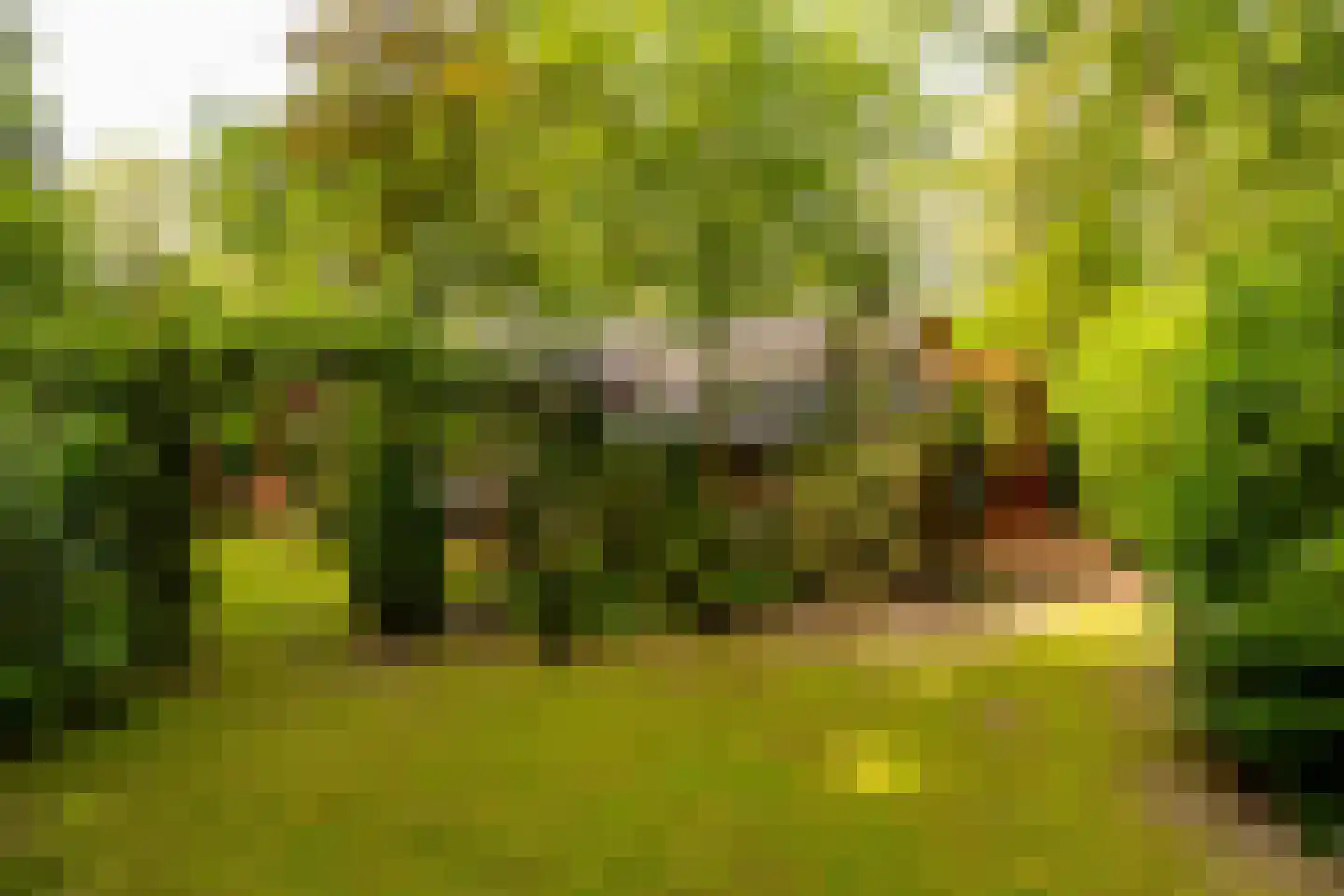 Oshaarseweg 24 79 Echten thumbnail 25