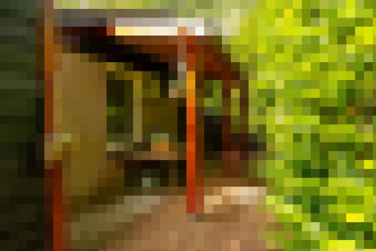 Oshaarseweg 24 79 Echten thumbnail 26