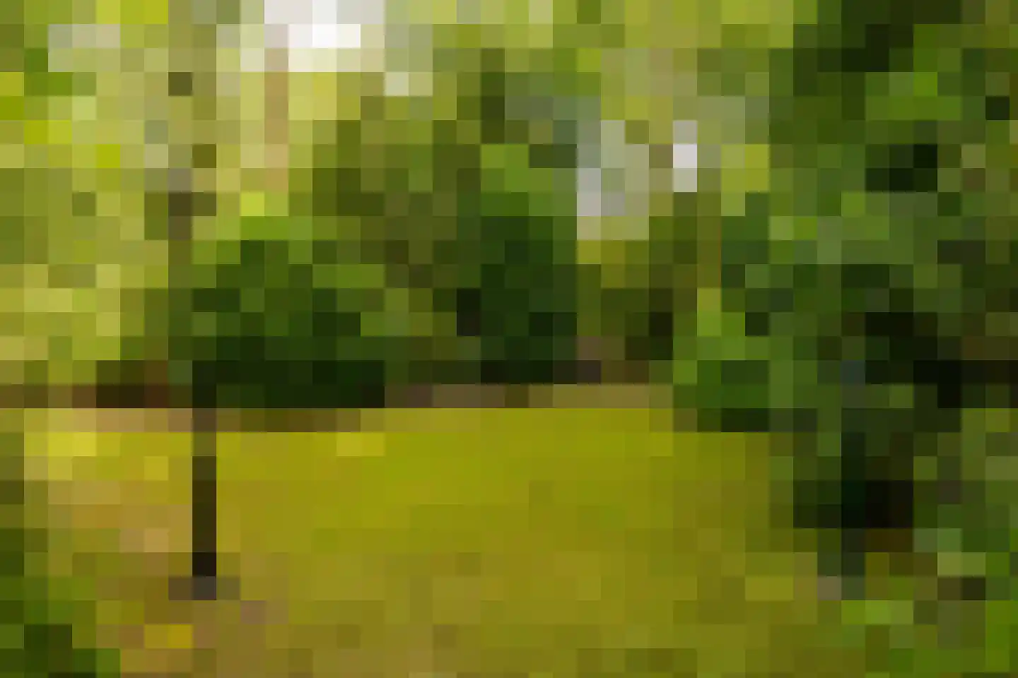 Oshaarseweg 24 79 Echten thumbnail 27