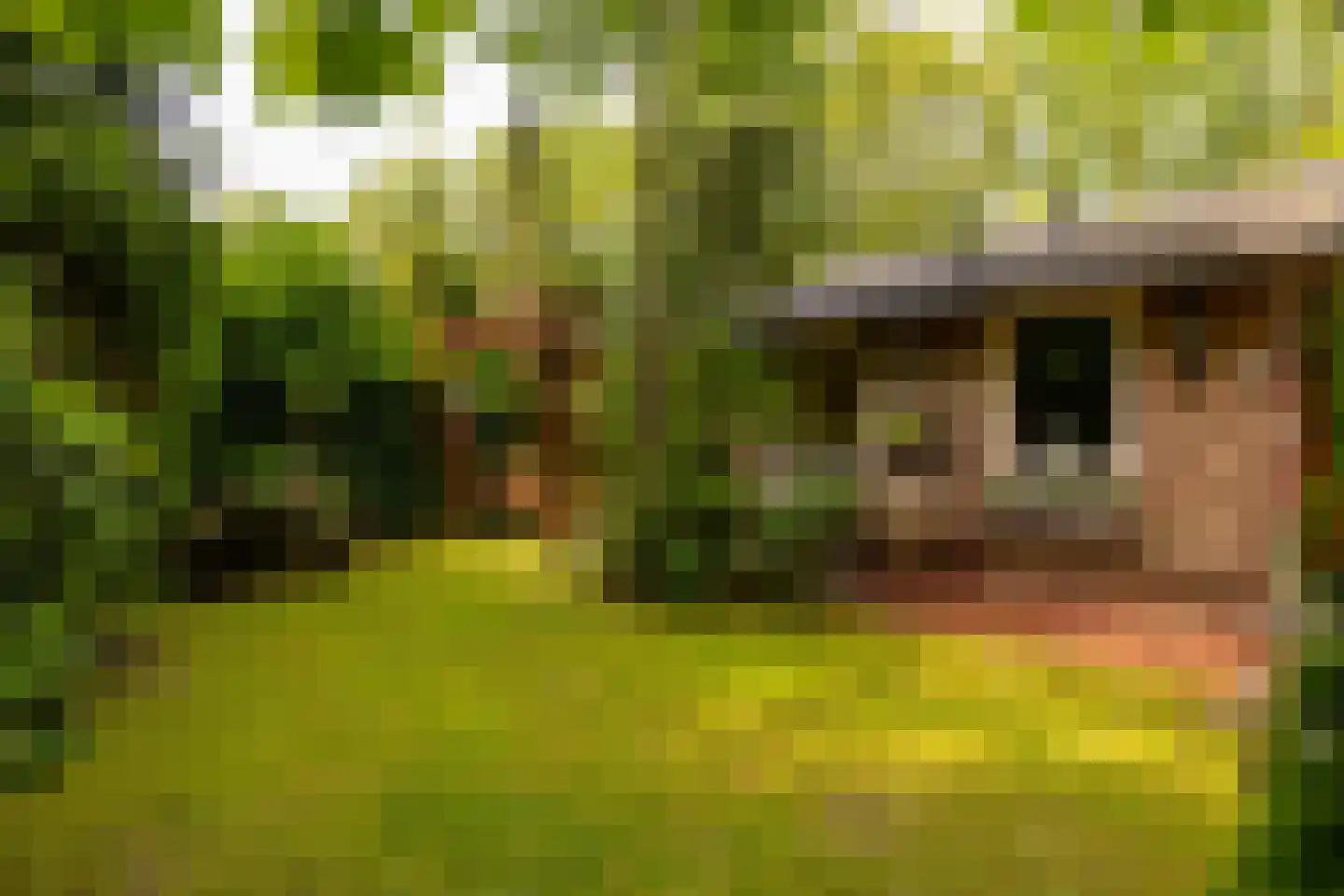Oshaarseweg 24 79 Echten thumbnail 28