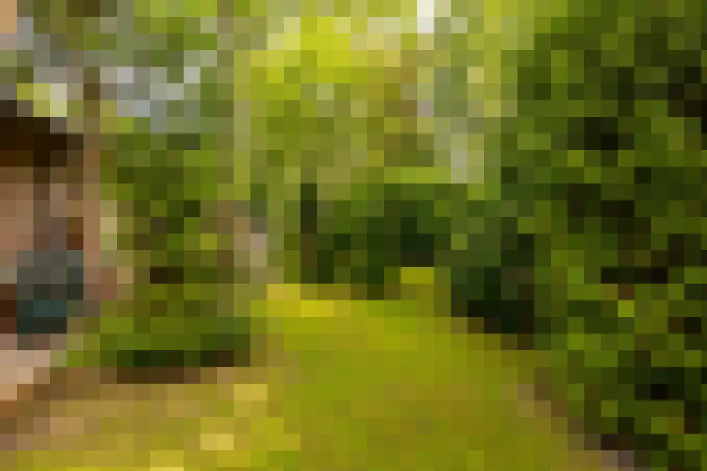 Oshaarseweg 24 79 Echten thumbnail 29
