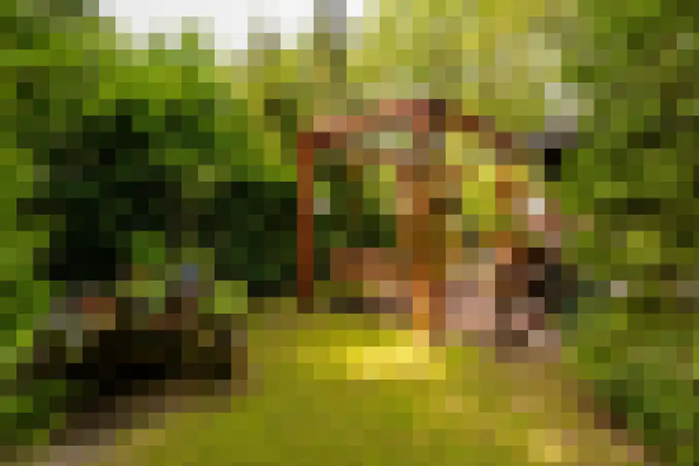 Oshaarseweg 24 79 Echten thumbnail 30