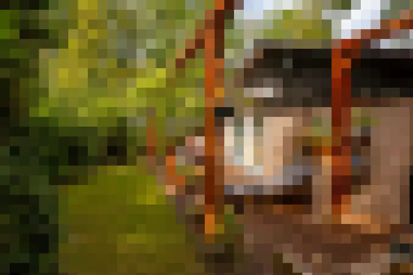 Oshaarseweg 24 79 Echten thumbnail 31