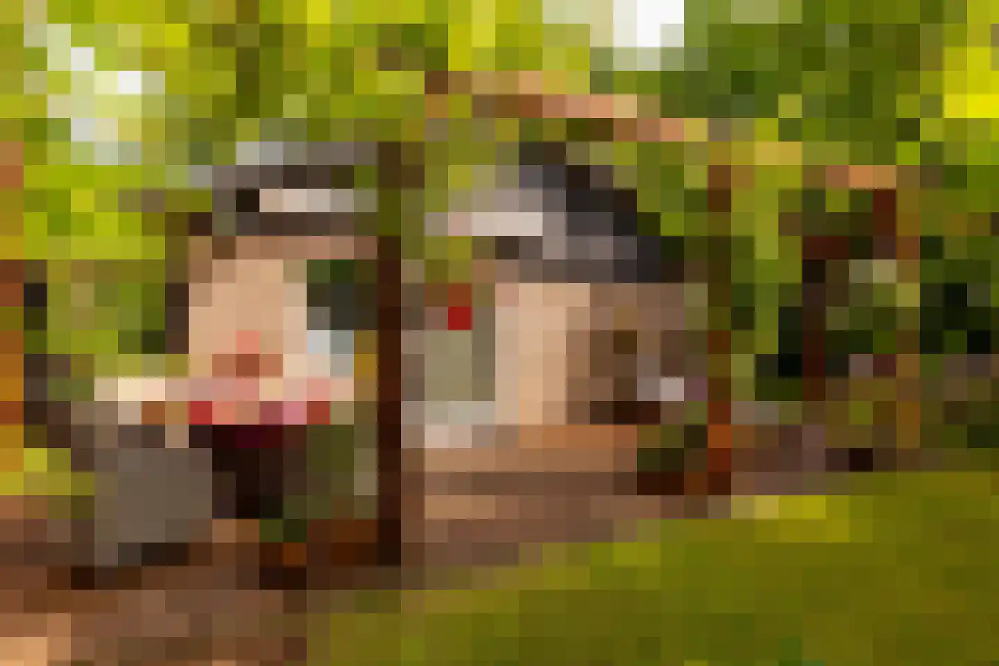 Oshaarseweg 24 79 Echten thumbnail 32