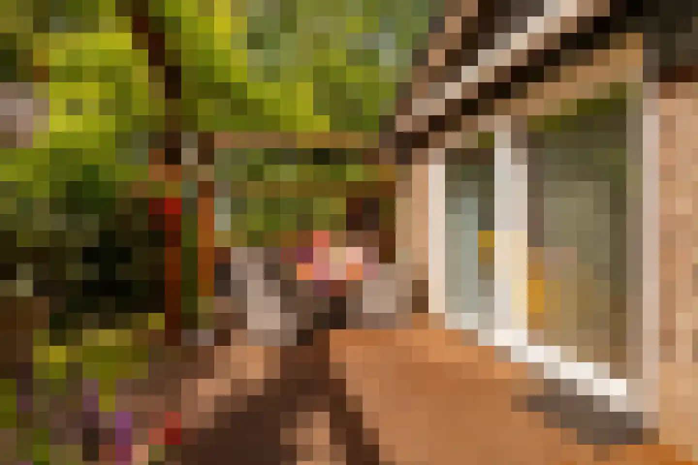 Oshaarseweg 24 79 Echten thumbnail 33