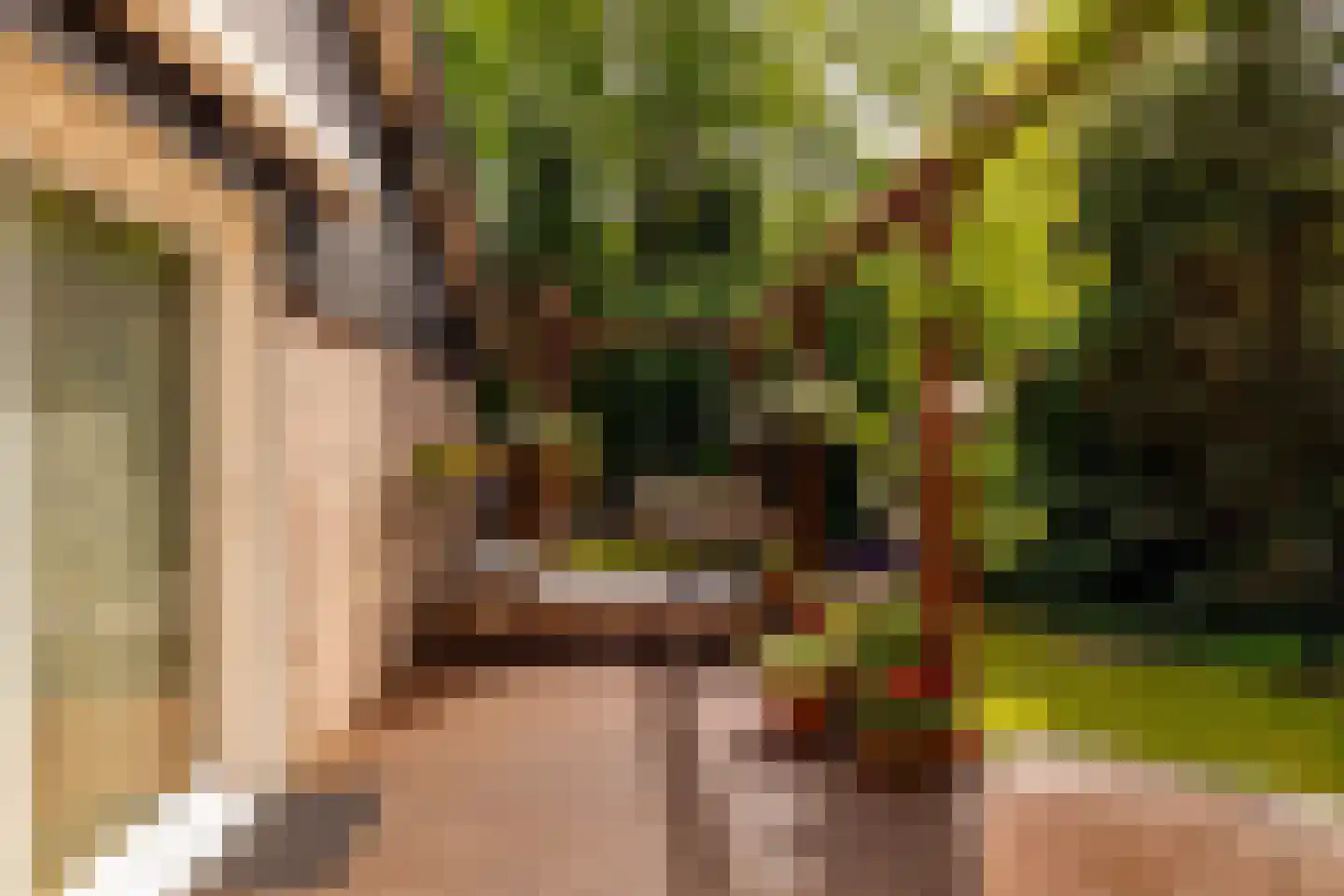 Oshaarseweg 24 79 Echten thumbnail 34