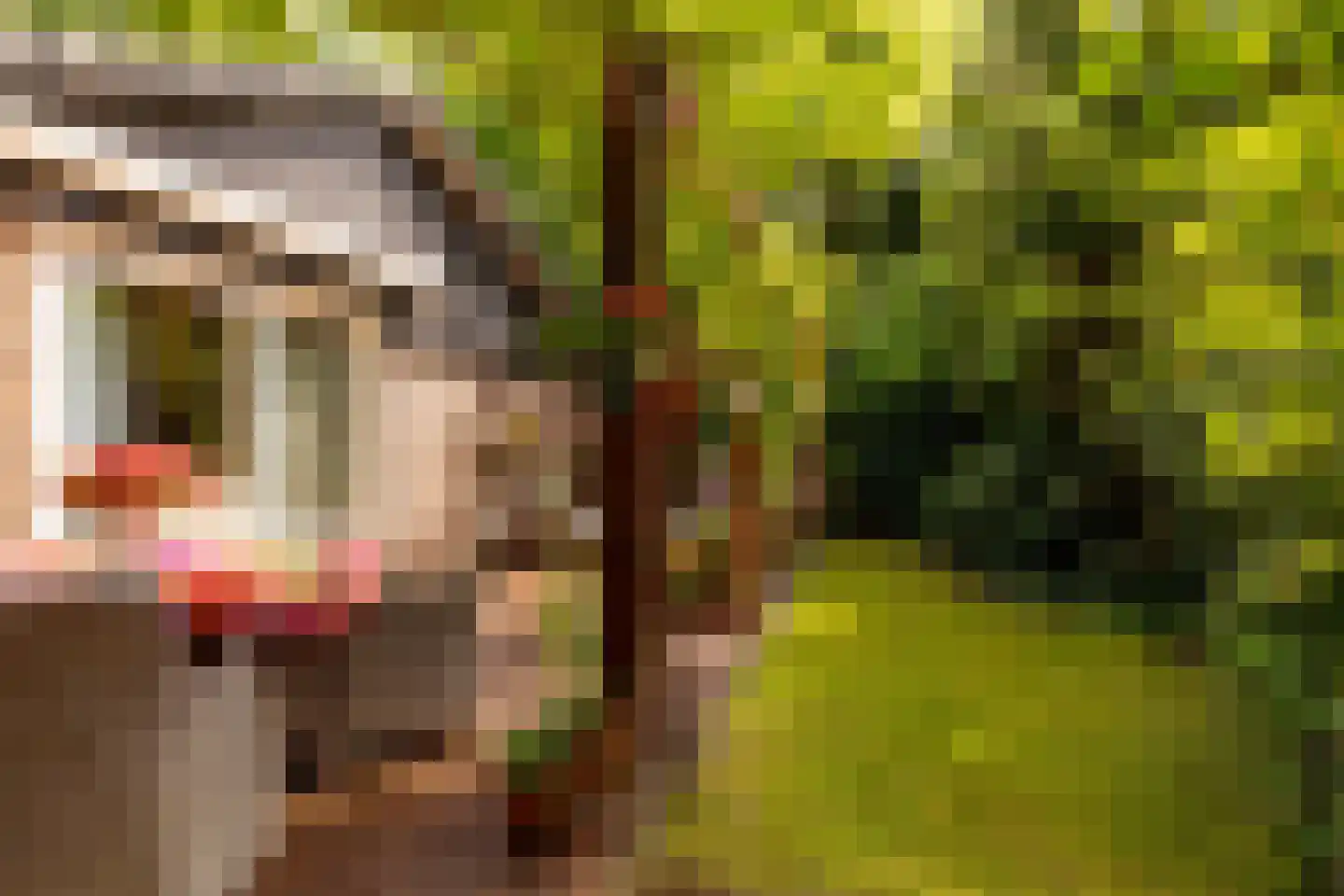 Oshaarseweg 24 79 Echten thumbnail 35
