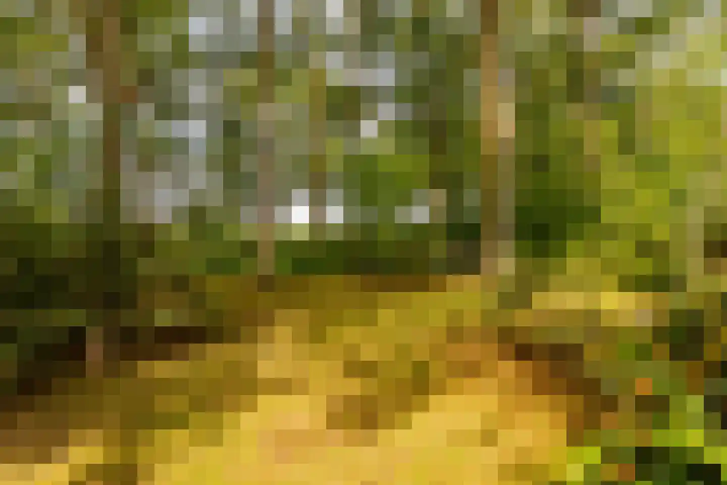Oshaarseweg 24 79 Echten thumbnail 36
